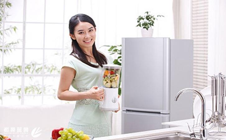 电冰箱十大品牌哪个好？十大品牌排行发布了!（4）